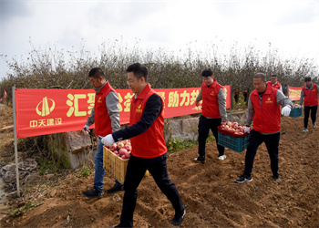 “愛心蘋果，真甜！”