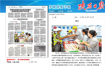 金世豪西北集團瓏樾府項目高溫慰問——《陜西日報》